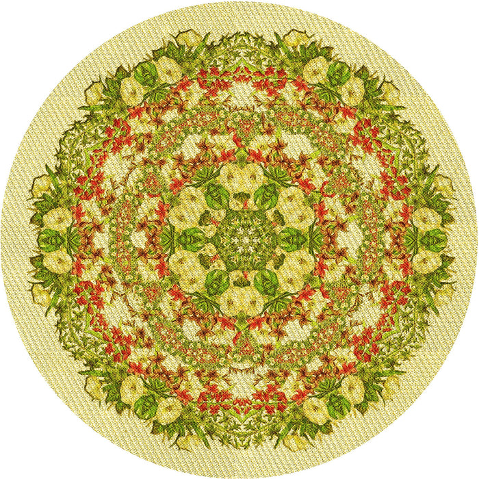 Square Machine Washable Transitional Dark Golden Brown Rug in a Living Room, wshpat1294yw