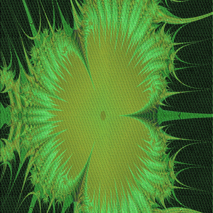 Patterned Dark Forest Green Rug, pat1298grn