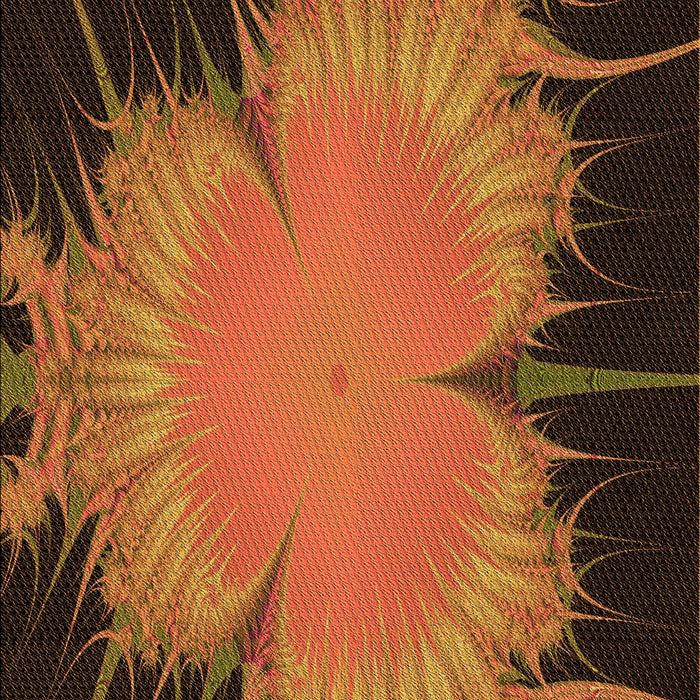 Patterned Orange Rug, pat1298org