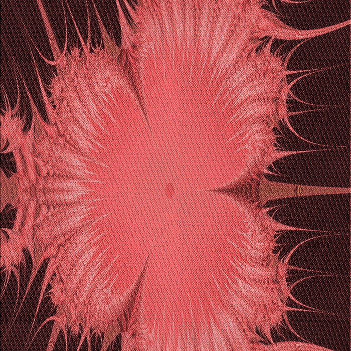 Patterned Red Rug, pat1298rd