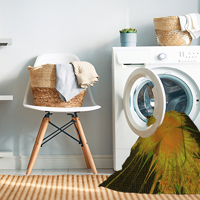 Machine Washable Transitional Caramel Brown Rug in a Washing Machine, wshpat1298yw