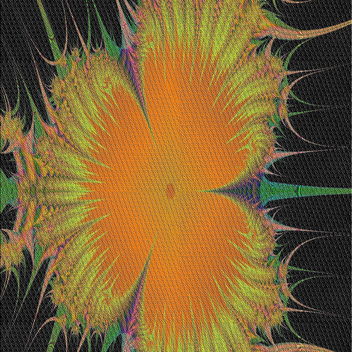 Patterned Black Brown Novelty Rug, pat1298