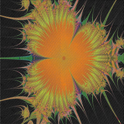 Sideview of Machine Washable Transitional Black Brown Rug, wshpat1298