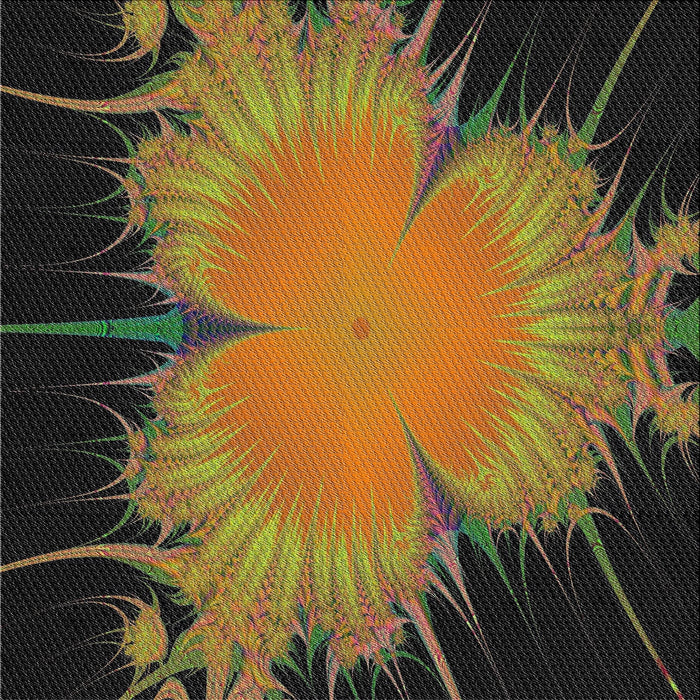 Sideview of Machine Washable Transitional Black Brown Rug, wshpat1298