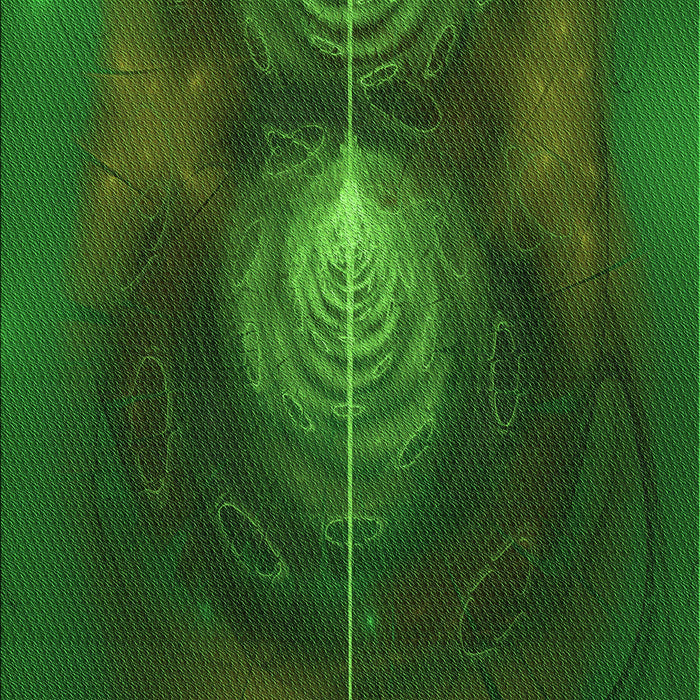 Patterned Dark Forest Green Rug, pat1299grn