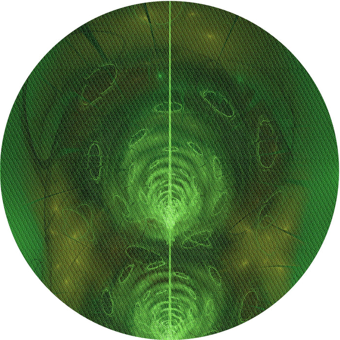 Square Machine Washable Transitional Dark Forest Green Rug in a Living Room, wshpat1299grn