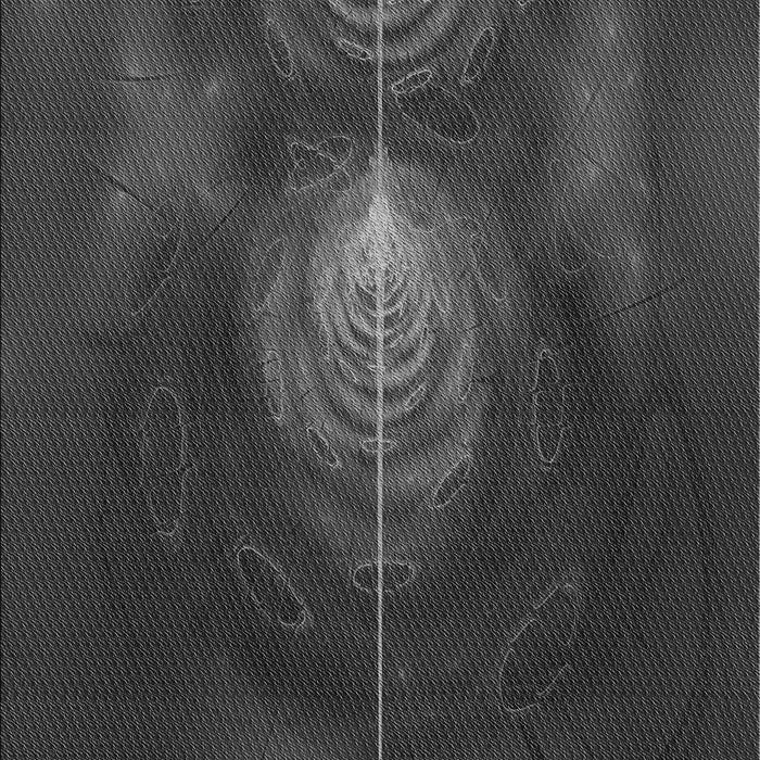 Machine Washable Transitional Charcoal Black Rug, wshpat1299gry