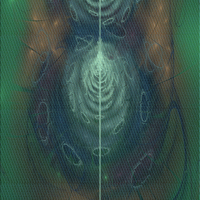 Machine Washable Transitional Dark Slate Grey Green Rug, wshpat1299lblu