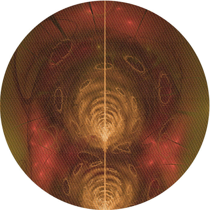 Square Machine Washable Transitional Mahogany Brown Rug in a Living Room, wshpat1299org