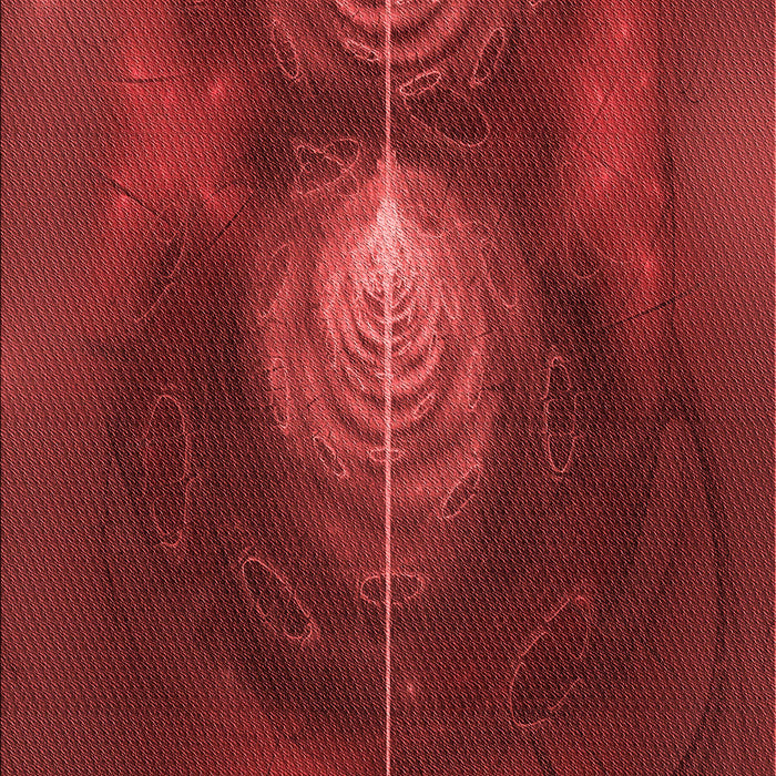 Machine Washable Transitional Cranberry Red Rug, wshpat1299rd