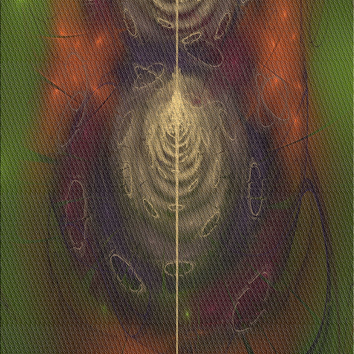 Machine Washable Transitional Night Red Rug, wshpat1299