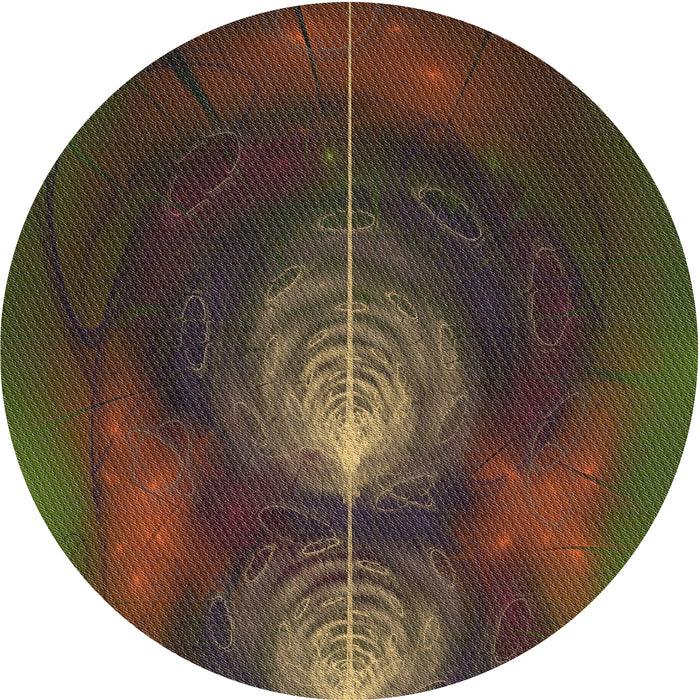 Square Machine Washable Transitional Night Red Rug, wshpat1299