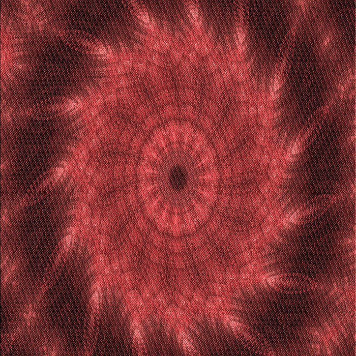 Patterned Dark Red Rug, pat130rd