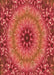 Patterned Bright Orange Rug, pat1301org