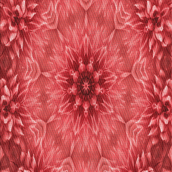 Machine Washable Transitional Red Rug, wshpat1301rd