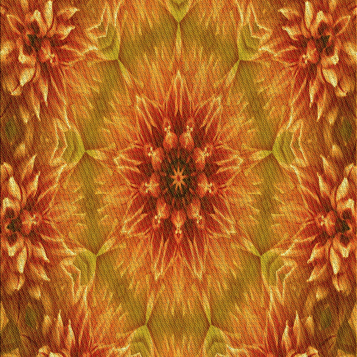 Machine Washable Transitional Red Rug, wshpat1301yw