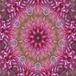 Sideview of Machine Washable Transitional Dark Hot Pink Rug, wshpat1301