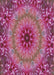 Machine Washable Transitional Dark Hot Pink Rug, wshpat1301