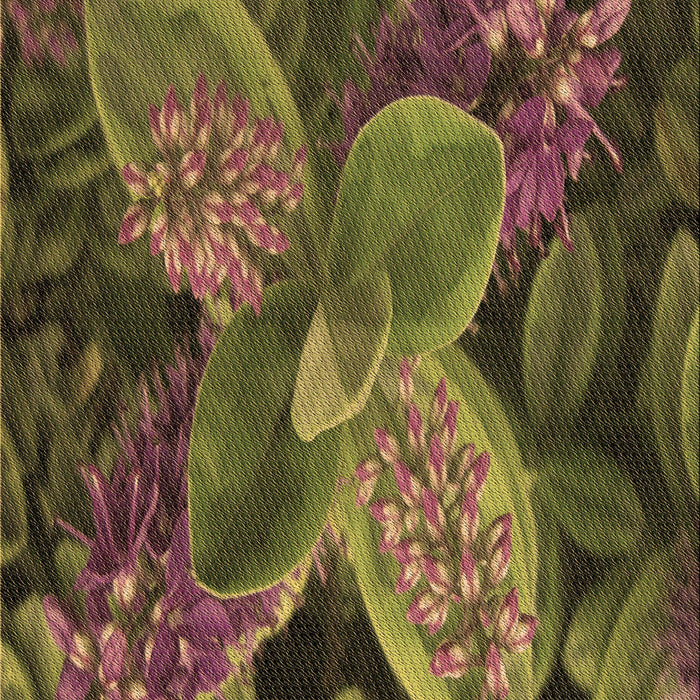 Machine Washable Transitional Bakers Brown Rug, wshpat1302brn