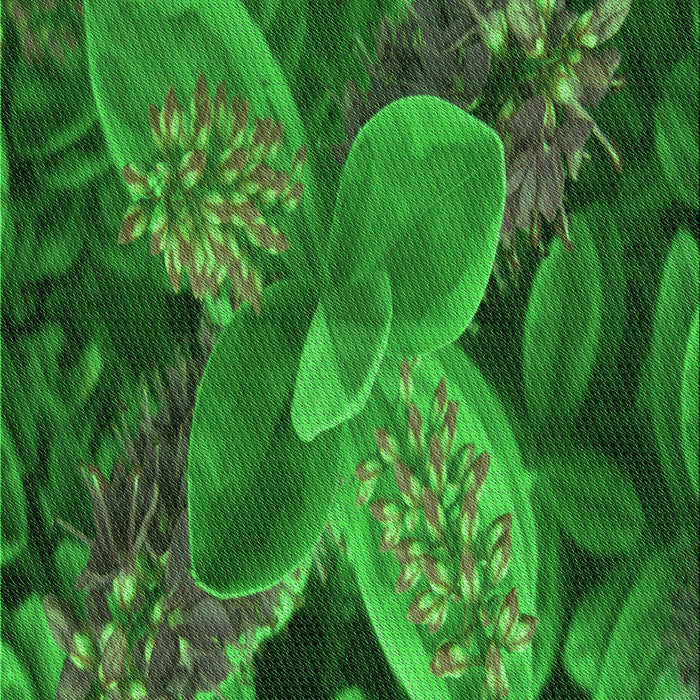 Machine Washable Transitional Deep Emerald Green Rug, wshpat1302grn