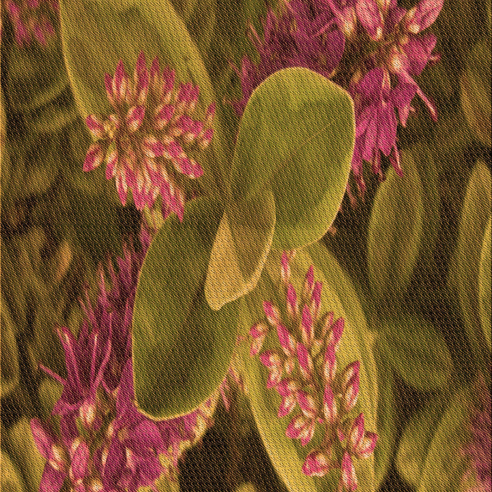 Machine Washable Transitional Dark Bisque Brown Rug, wshpat1302org