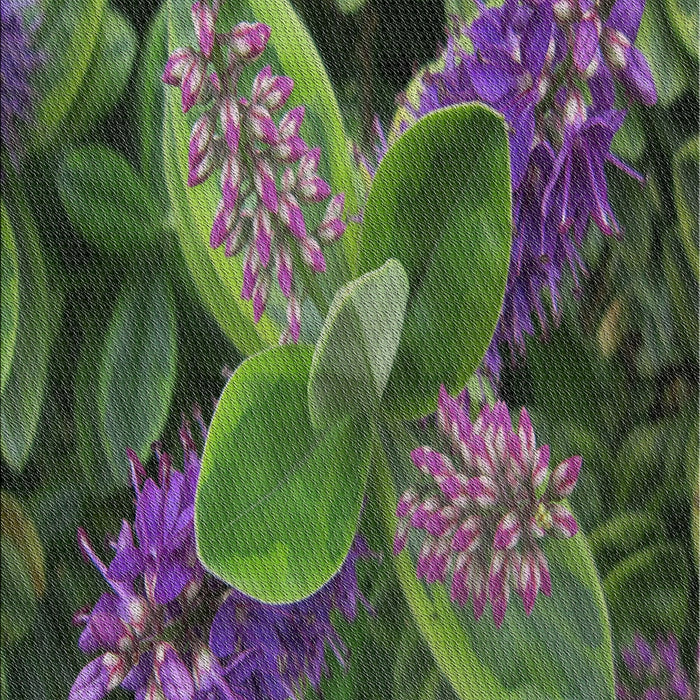 Machine Washable Transitional Hazel Green Rug, wshpat1302