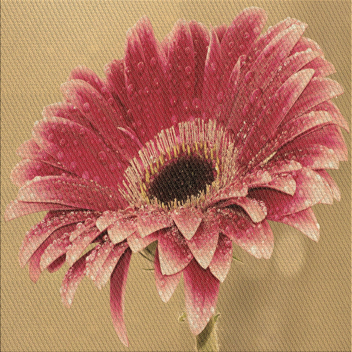 Round Patterned Red Rug, pat1303brn