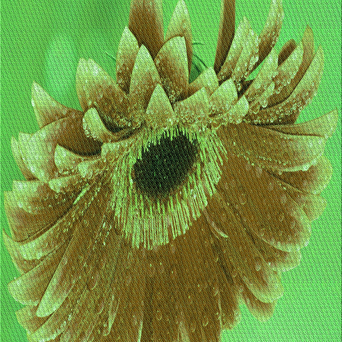 Patterned Neon Green Rug, pat1303grn