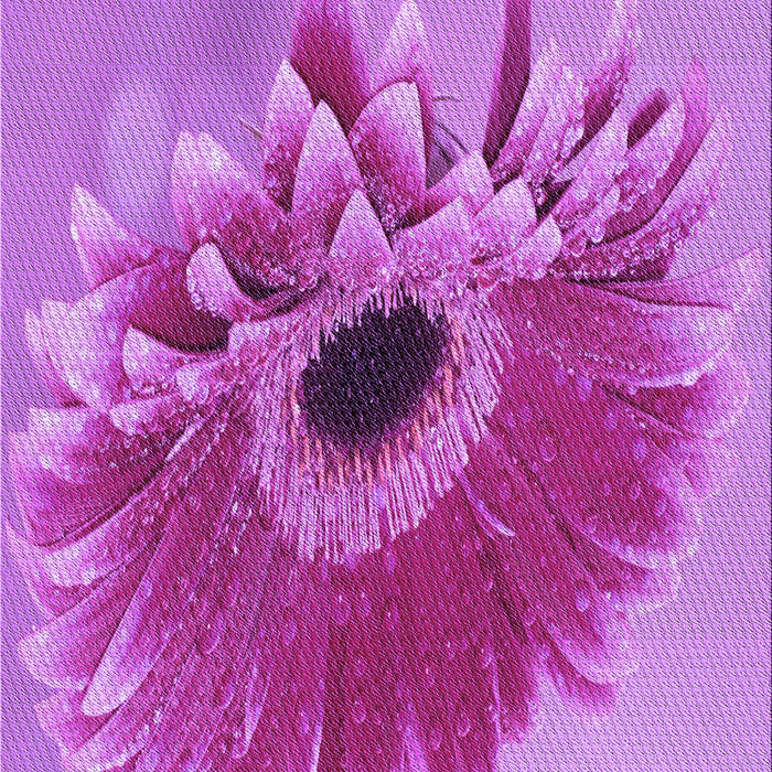 Machine Washable Transitional Violet Purple Rug, wshpat1303pur