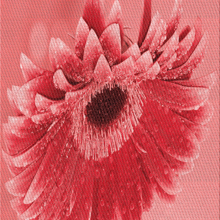 Machine Washable Transitional Red Rug, wshpat1303rd