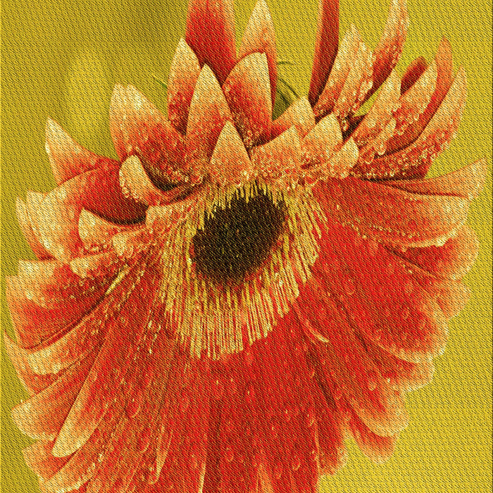 Patterned Scarlet Red Rug, pat1303yw