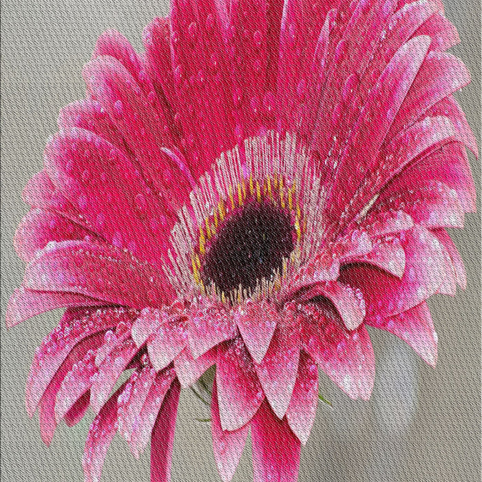 Patterned Silver Pink Modern Rug, pat1303