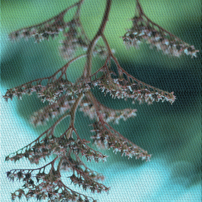 Machine Washable Transitional Medium Turquoise Green Rug, wshpat1304lblu