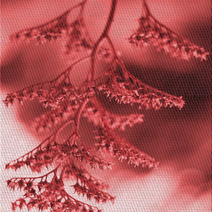 Patterned Pastel Red Pink Rug, pat1304rd