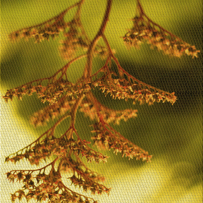 Patterned Dark Bronze Brown Rug, pat1304yw