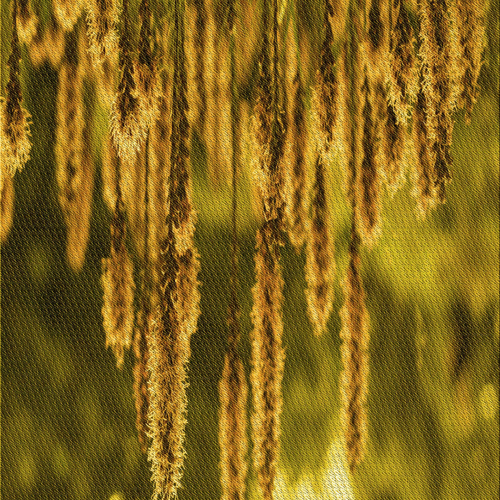 Machine Washable Transitional Dark Bronze Brown Rug, wshpat1305yw