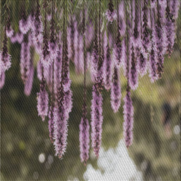 Sideview of Machine Washable Transitional Burgundy Brown Rug, wshpat1305