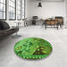 Round Patterned Green Rug in a Office, pat1306grn