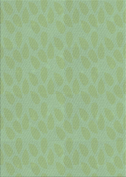 Patterned Pale Green Novelty Rug, pat1312