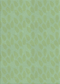 Machine Washable Transitional PaleGreen Rug, wshpat1312