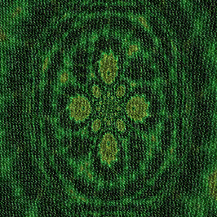 Machine Washable Transitional Green Rug, wshpat132grn