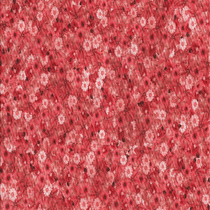 Machine Washable Transitional Red Rug, wshpat1324rd