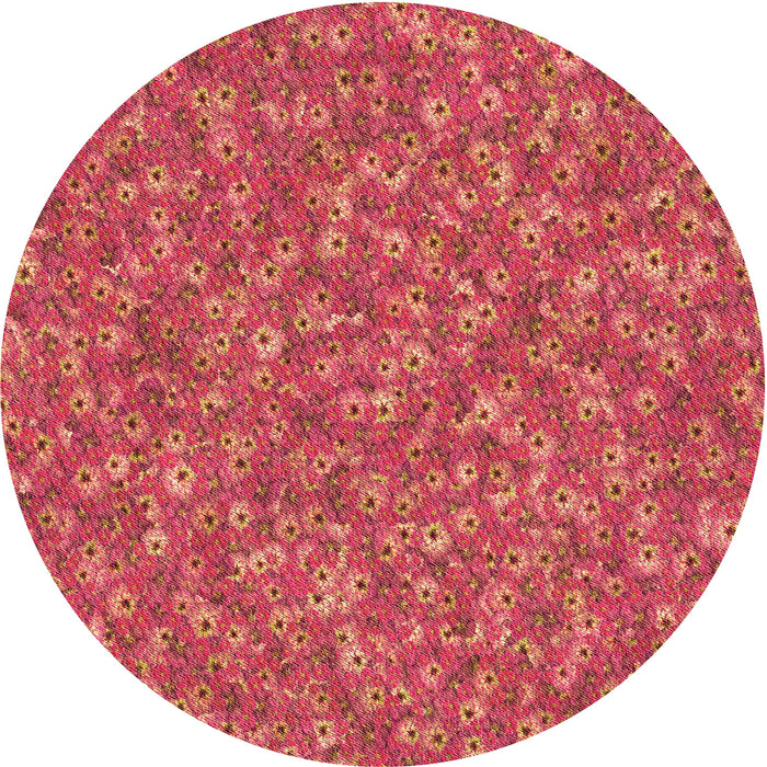 Square Machine Washable Transitional Crimson Red Rug in a Living Room, wshpat1325org