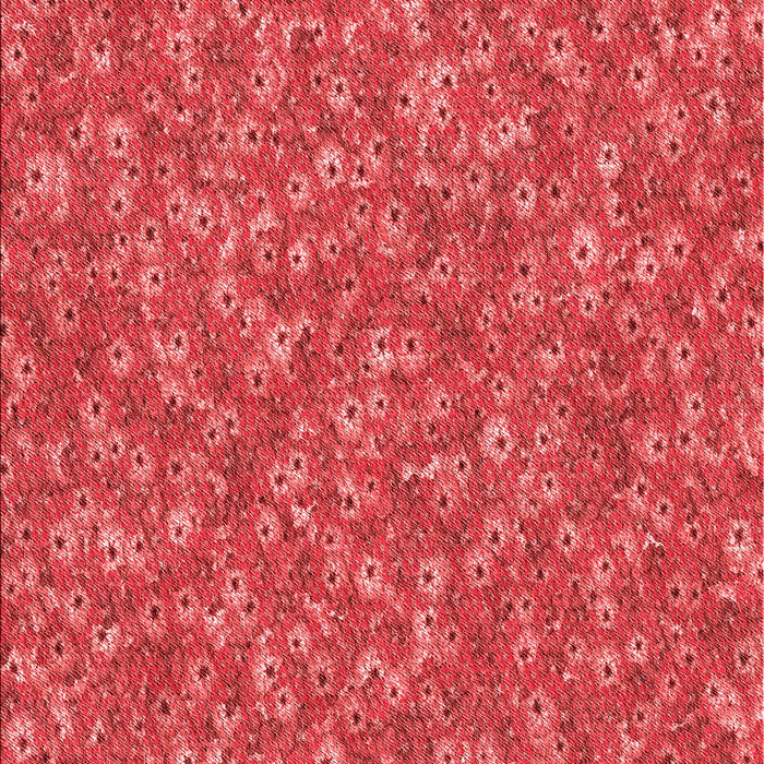 Machine Washable Transitional Red Rug, wshpat1325rd