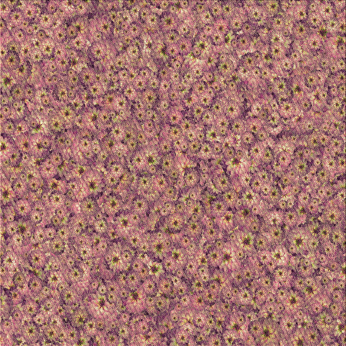 Round Machine Washable Transitional Brown Sand Brown Rug, wshpat1326brn