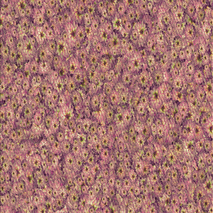 Patterned Brown Sand Brown Rug, pat1326brn