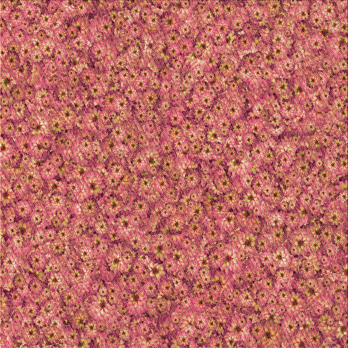 Round Machine Washable Transitional Crimson Red Rug, wshpat1326org