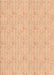 Patterned Pastel Orange Rug, pat1327org