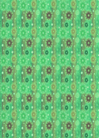 Machine Washable Transitional Neon Green Rug, wshpat1329grn