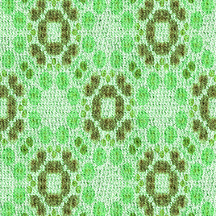 Machine Washable Transitional Green Rug, wshpat1332grn